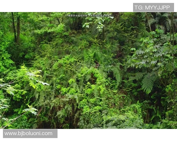 火山鸣泉与陕西的奇妙对话探索自然与人文的交融之美